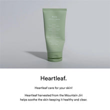 Load image into Gallery viewer, ABIB Acne Foam Cleanser Heartleaf Foam 